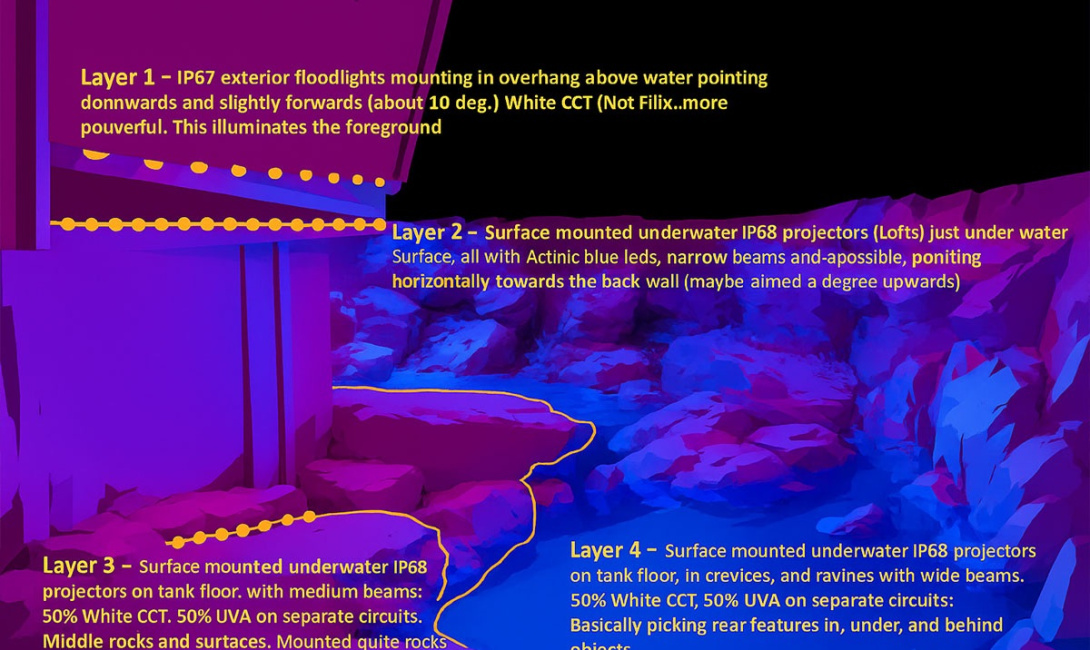 Red Sea Marine Life Institute