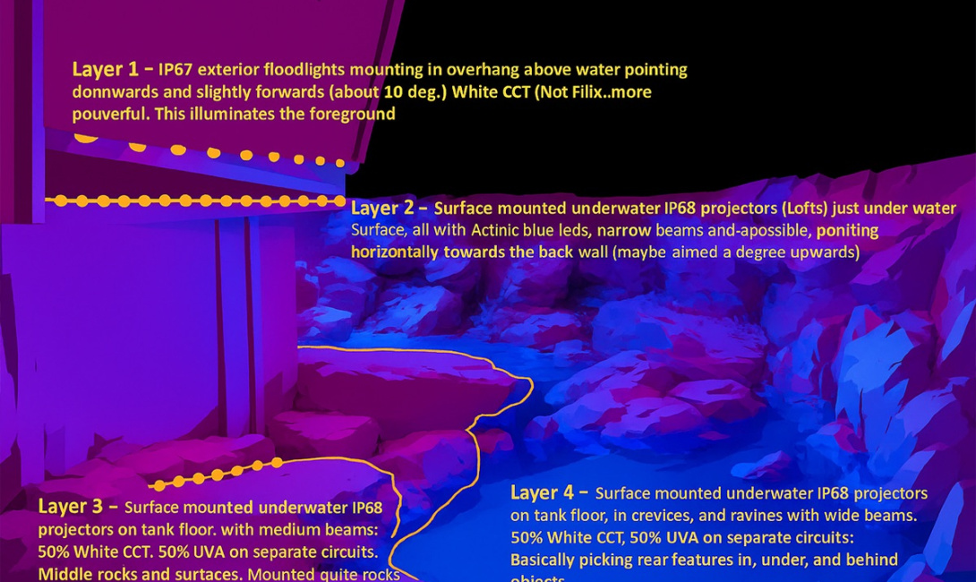 Underwater Lighting for the Red Sea Marine Life Institute