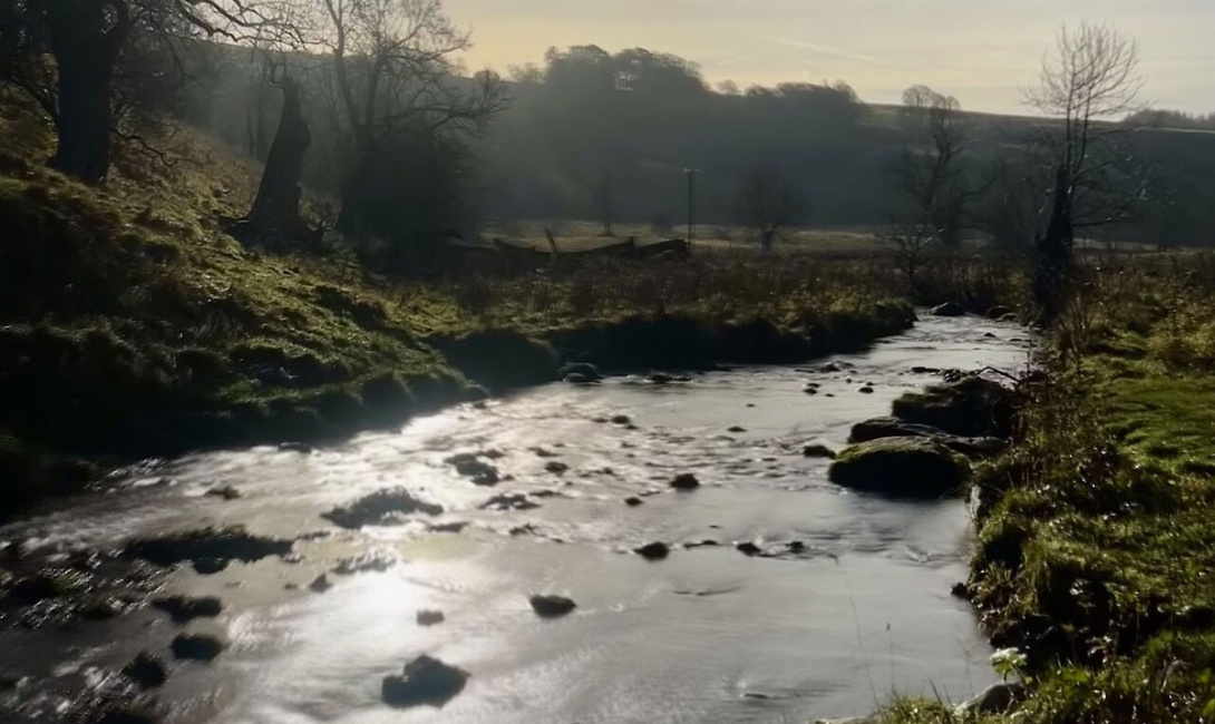 Getting to Know Gareth