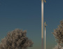 Tria L Pole